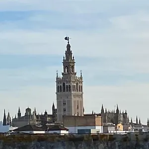  Apartamento Atico Caleria Con Vistas A La Giralda España